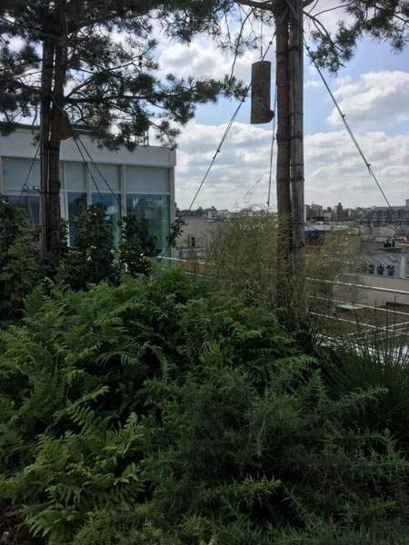 Création de jardin Sannois