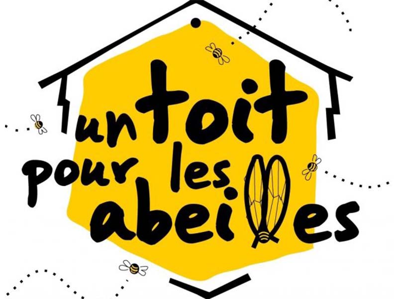 Création de jardin Sannois