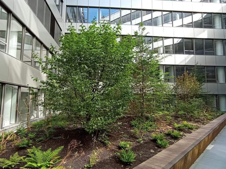 Aménagement extérieur Sannois