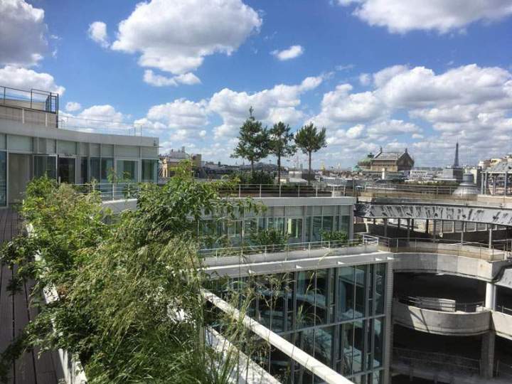 Aménagement espace vert Sannois