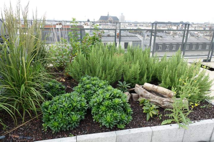 Entretien espace vert Sannois