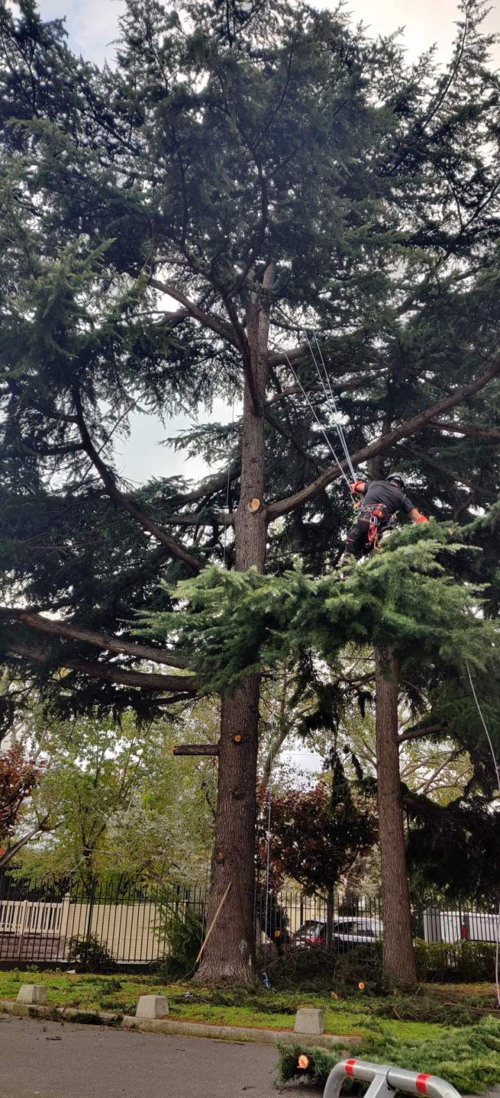 ADAPATION A LA VOIRIE