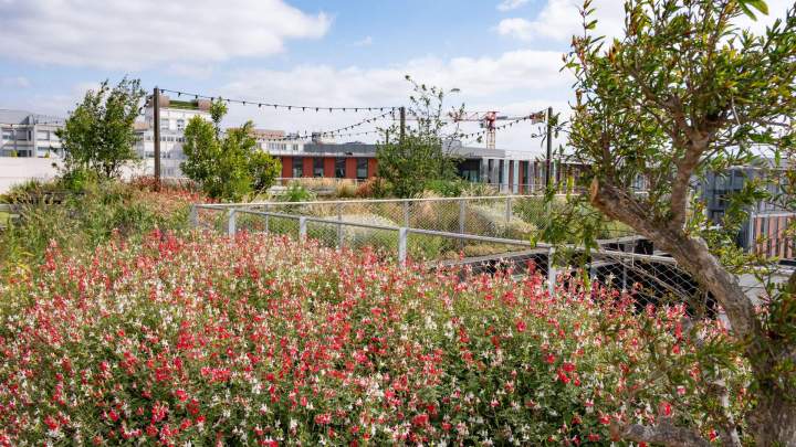 BRIENNE JARDIN SAS (11)