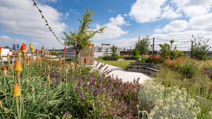 BRIENNE JARDIN SAS (12)