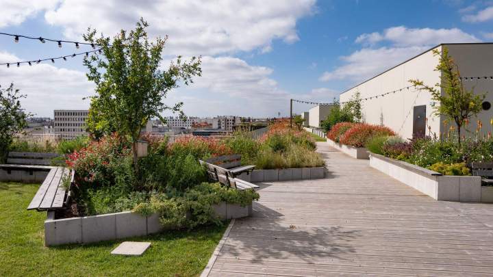 Aménagement de jardins Sannois