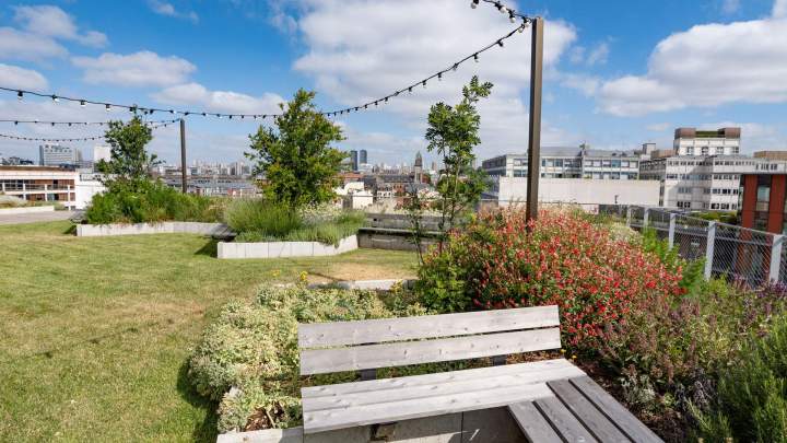 BRIENNE JARDIN SAS (17)