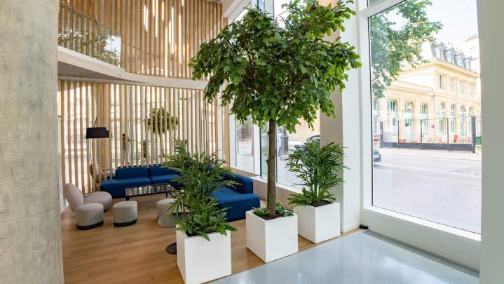 BRIENNE JARDIN SAS (32)