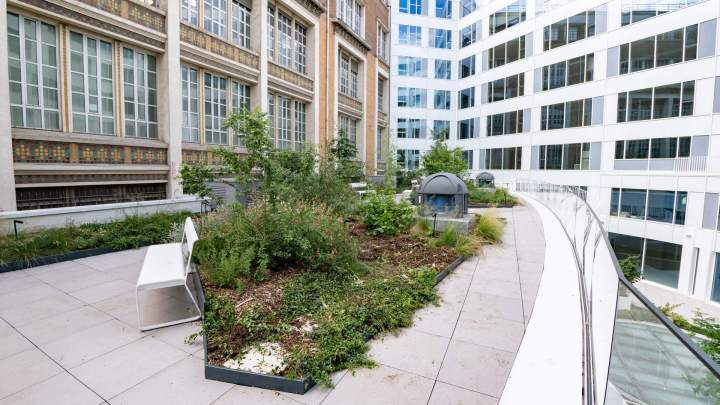 BRIENNE JARDIN SAS (45)