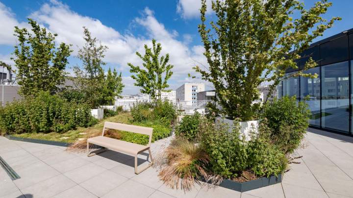 Conception de jardins Sannois
