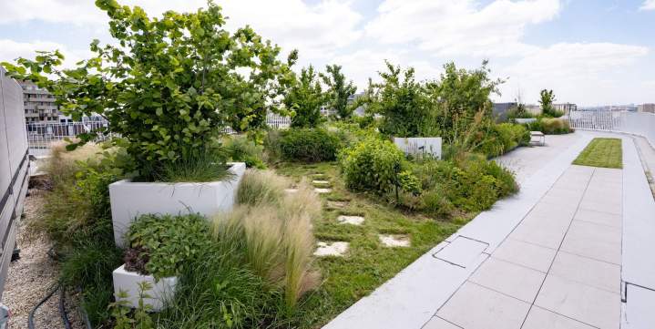 BRIENNE JARDIN SAS (53)