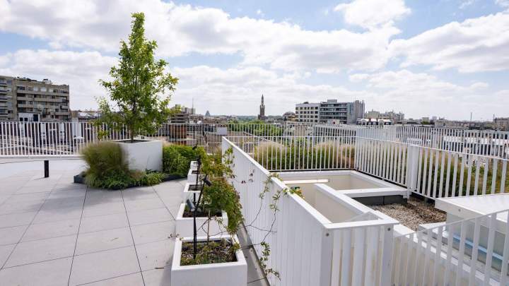 BRIENNE JARDIN SAS (57)