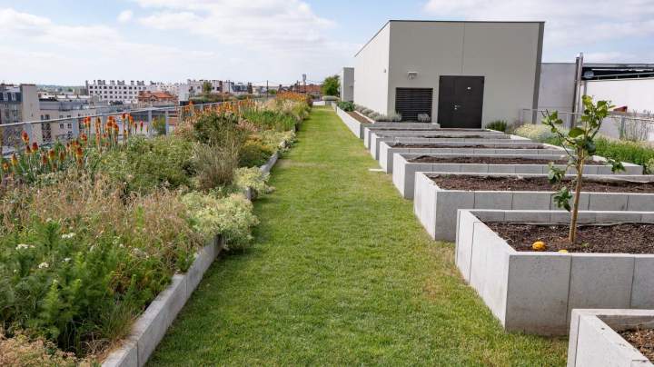 BRIENNE JARDIN SAS (8)