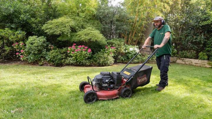 Entretien d'espaces verts Sannois