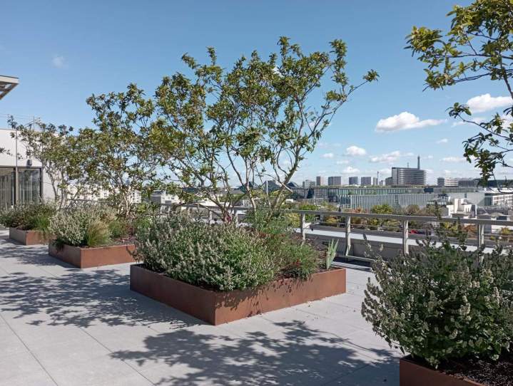 Aménagement extérieur Sannois