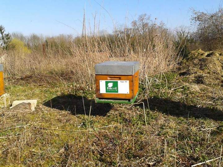Un toit pour les abeilles Sannois