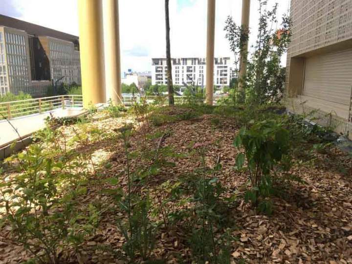 Création espace vert Sannois