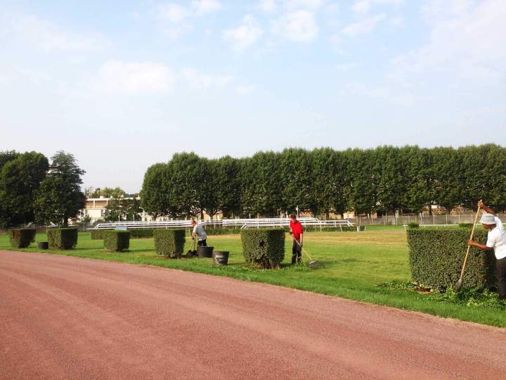 Entretien d'espaces verts Sannois