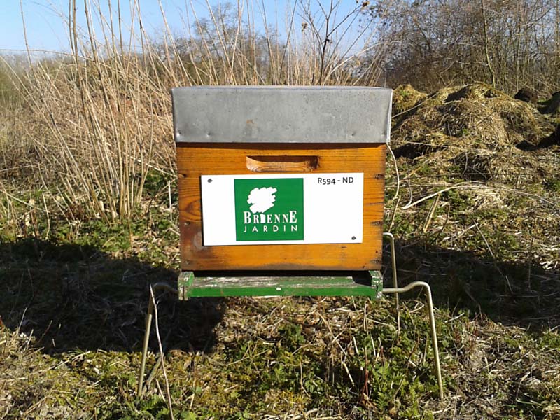 Aménagement paysager Argenteuil