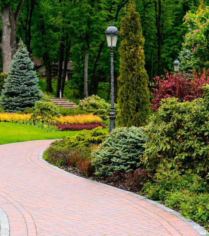 Aménagement de jardins Sannois
